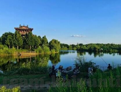 九游在线客服-高效互动与便捷服务——九游在线客服体验详解
